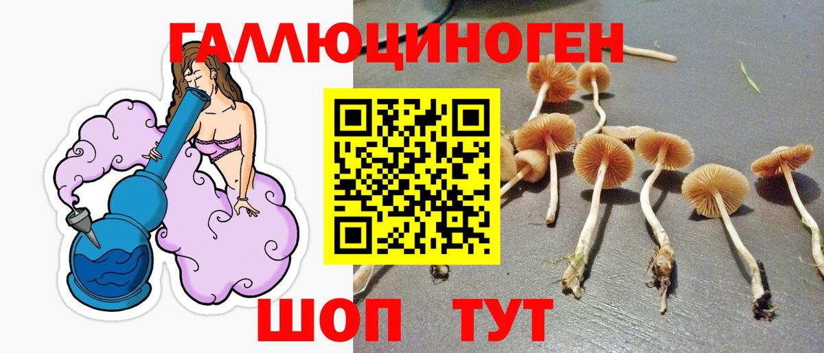 Псилоцибиновые грибы GOLDEN TEACHER  Вход с VPN  Клин 