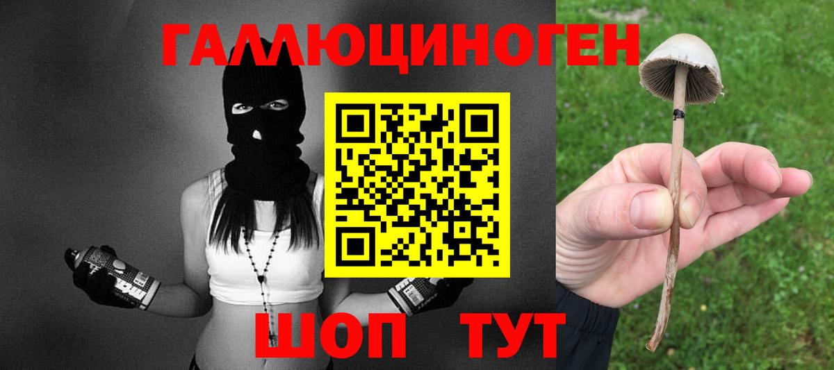 Псилоцибиновые грибы мицелий Клин